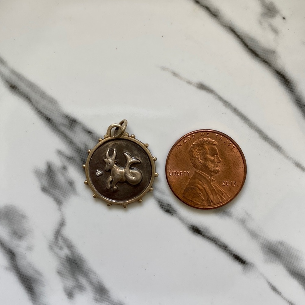 Capricorn zodiac charm